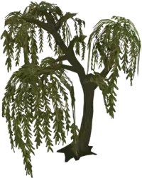 Runescape willow tree