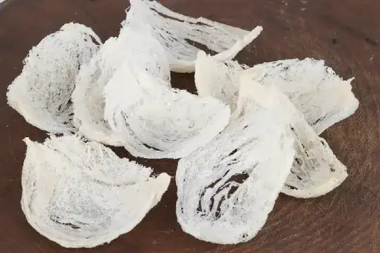 edible birds nests
