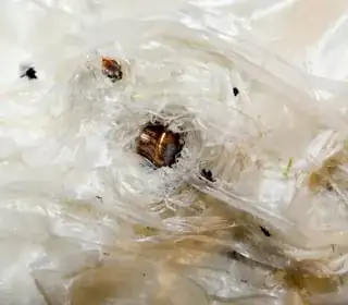 example of struck vest