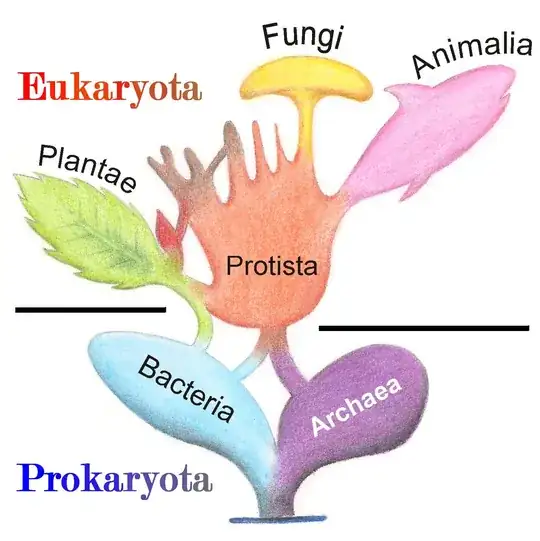 Eukaryota