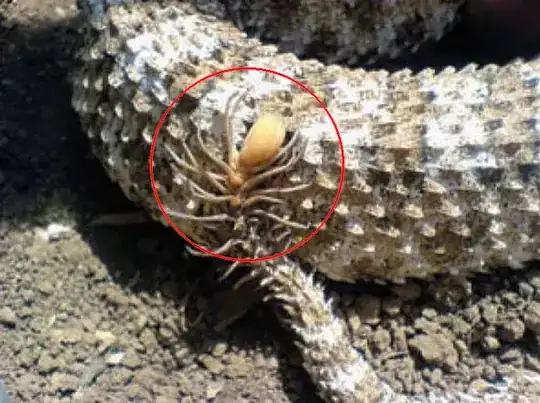 Spider-tailed horned viper