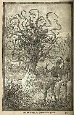 ya-te-veo - carnivorous tree