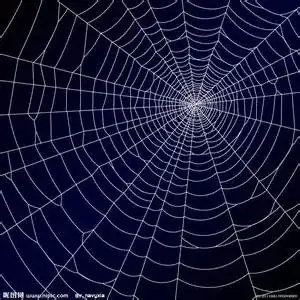 Spiderweb