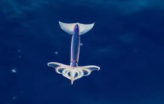Flying squid
