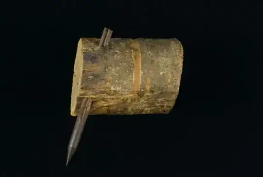 A flechette, protruding from a thick tree branch