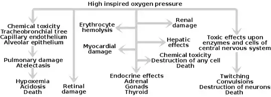 different problems that arise from a high oxygen concentration