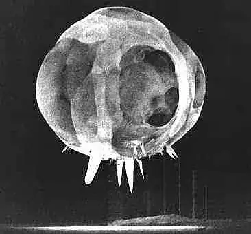 atomic explosion after 1 ms