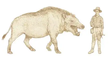 Andrewsarchus