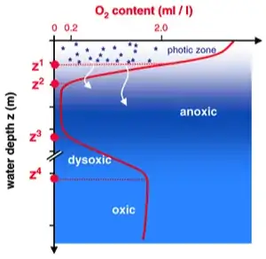 O2 concentration with depth