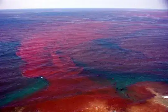 red tide