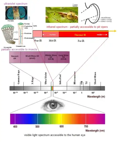 Snake vision spectrum