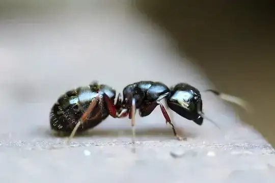 Image of an ant
