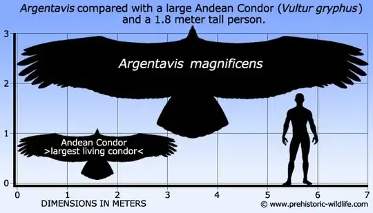 Argentavis size comparison with condor and human
