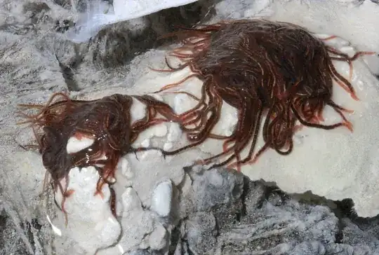 cave worms