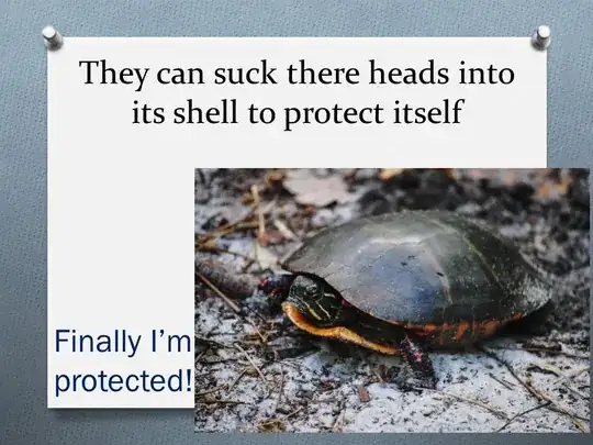 turtle