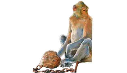 GET THE COOKIE GET THE COOKIE GET THE COOKIE