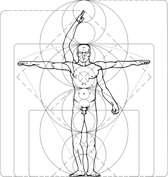 Modern Vitruvian man illustration with 6-circle height