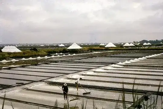 Two guys raking salt in a salting pan crystallizer