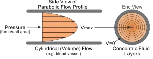 Parabolic flow velocity profile