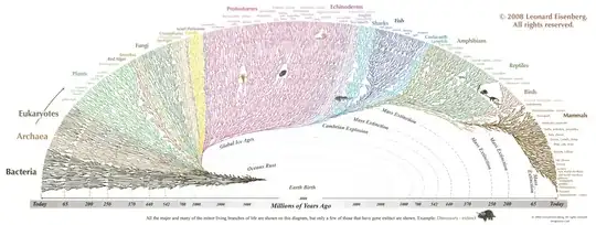 Phylogenetic Tree