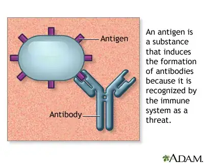 A virus (ball thing) with antigens (purple) and an antibody attaching to then (blue)