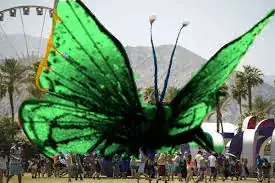 GIANT GREEN BUTTERFLY