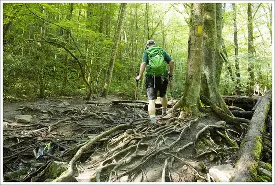 Mud, rocks, tree roots, and general deterioration