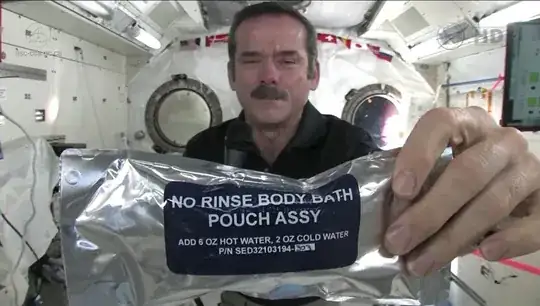 Hadfield's sponge bath bag