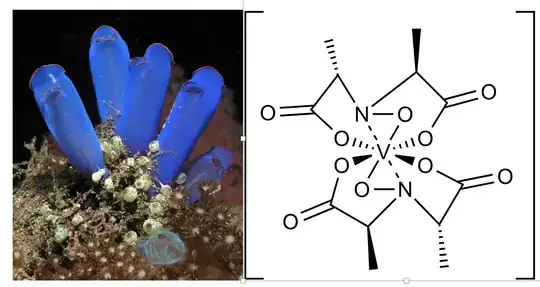 blue sea squirt and structure of amavadin