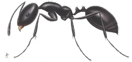 Ant versus tiny human