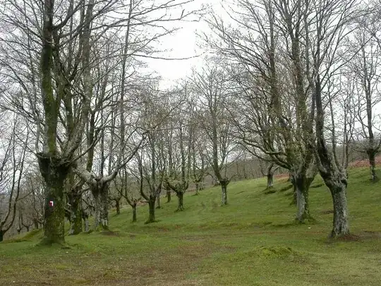 pollard forest