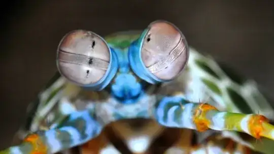 Mantis shrimp eyes