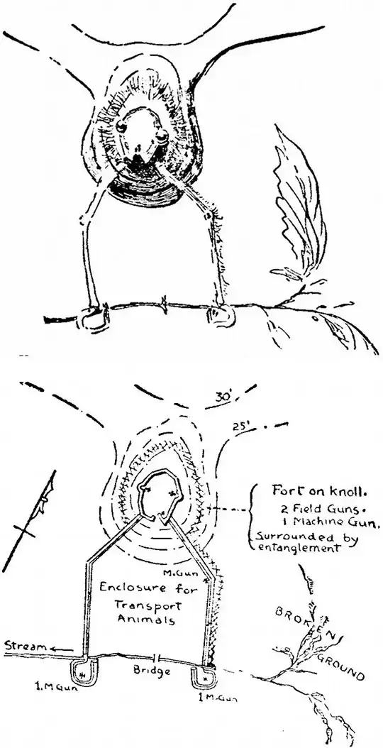 Map of a Fort Disguised as a Moth