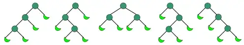 Binary trees with n=3+1 leaves