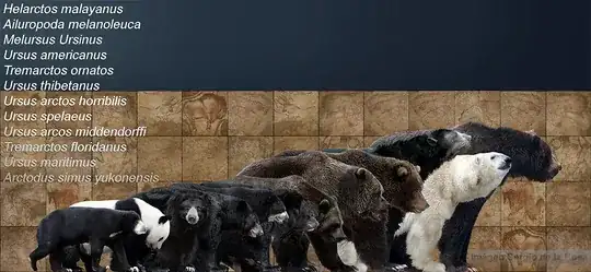 bears smallest to largest